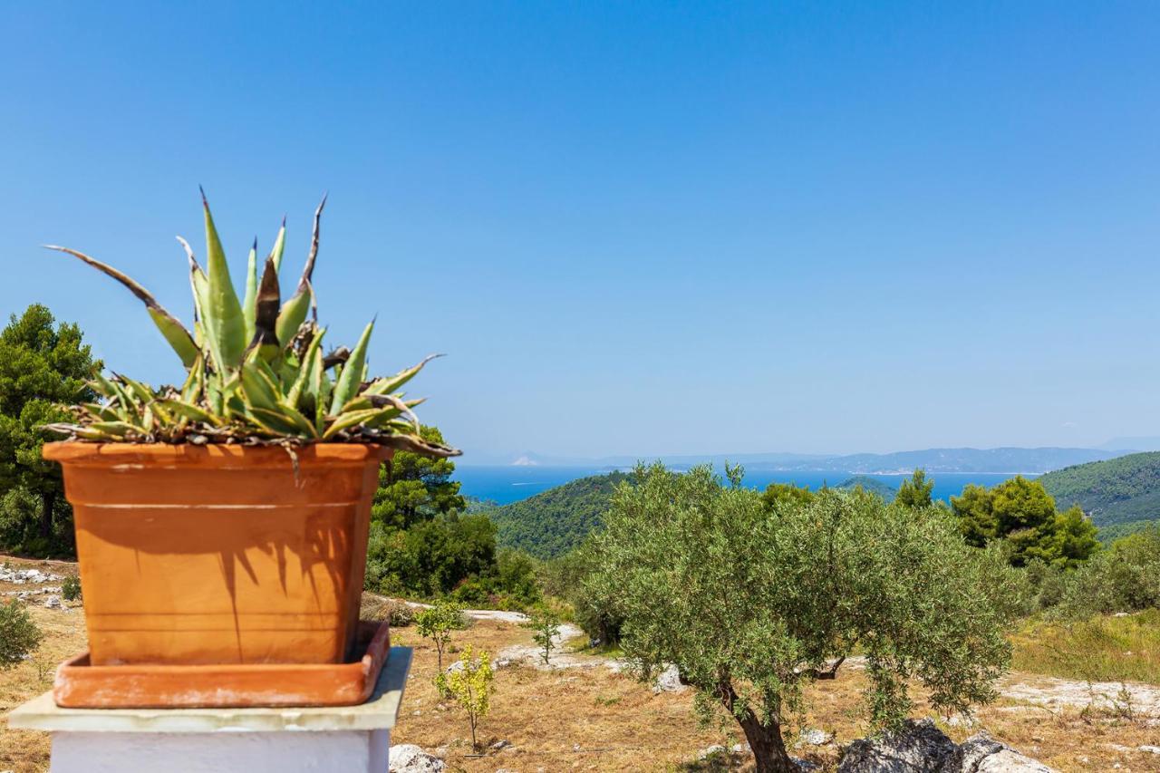 Villa Jasmine Skopelos Town Ngoại thất bức ảnh